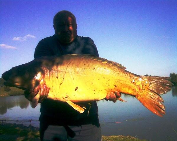 16kg-os_hal.jpg