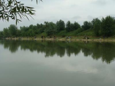 DSC00313.JPG