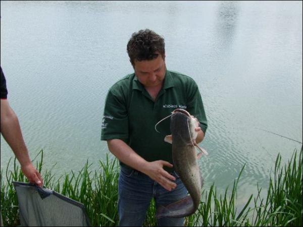 dscf3552.jpg