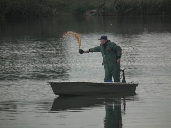 DSCF1166.JPG