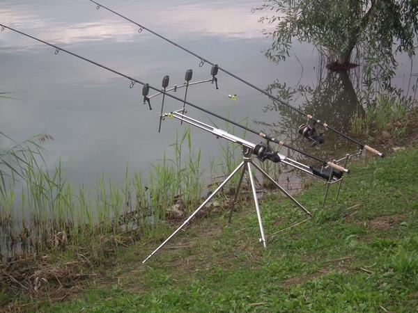 DSCF1170.JPG