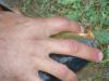 DSC01395_t1.jpg