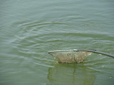 DSC01135.JPG