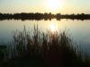 DSC01206_t1.jpg