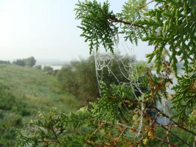 DSC01088.JPG